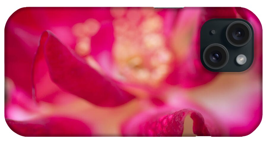 Rose iPhone Case featuring the photograph Patterned Petals by Priya Ghose