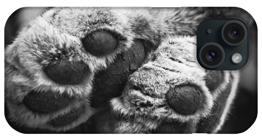 Leopard iPhone Case featuring the photograph Paws for thought by Chris Boulton