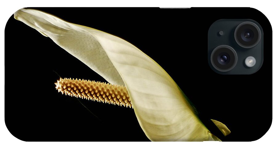 Spathiphyllum Wallisii iPhone Case featuring the photograph PeACE 2 by Angela J Wright