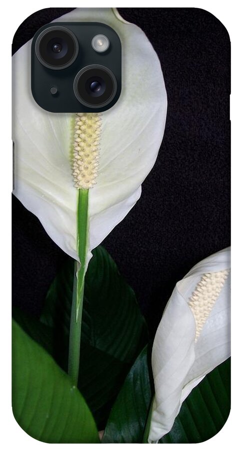 Lily iPhone Case featuring the photograph Peace Lilies by Sharon Duguay