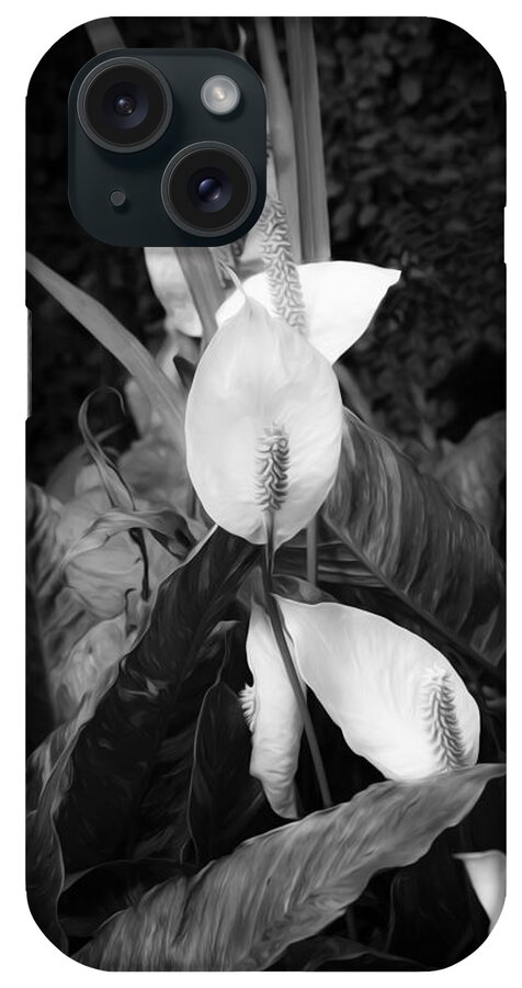Lily iPhone Case featuring the photograph Peace Lily or Spath Lily BW by Rich Franco