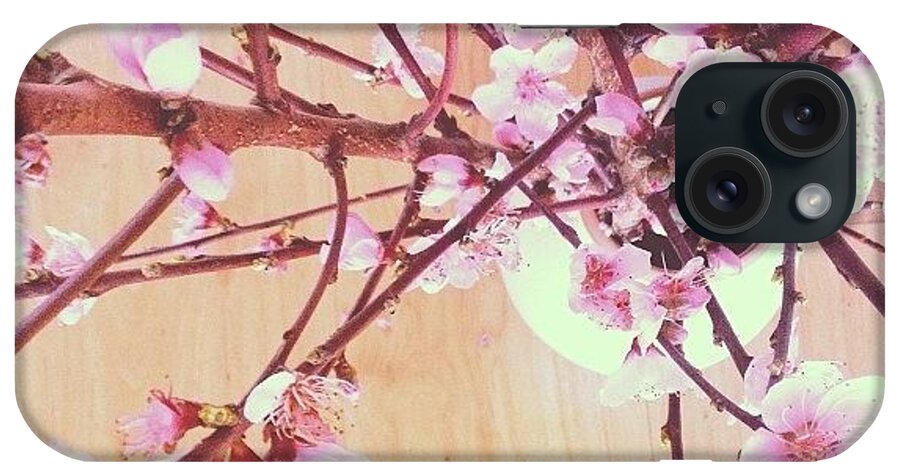Blossoms iPhone Case featuring the photograph #peach #blossoms #spring #picoftheday by Wiliam Bednarz