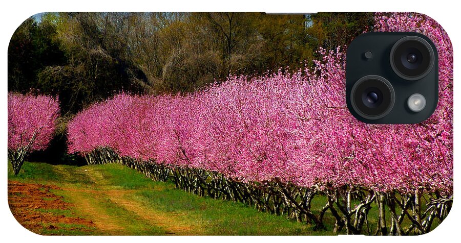 Peach Orchard iPhone Case featuring the photograph Peach Orchard in Carolina by Lydia Holly