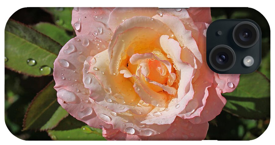Flowers iPhone Case featuring the photograph Peach Rose by Gary Kaylor