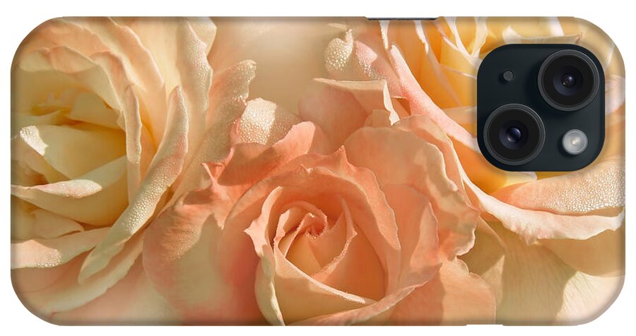Rose iPhone Case featuring the photograph Peach Roses in the Mist by Jennie Marie Schell