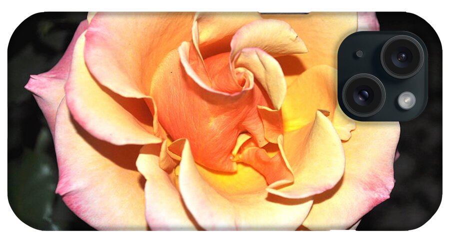Flower iPhone Case featuring the photograph Peaches And Cream With A Dolop Of Lemon by Jay Milo