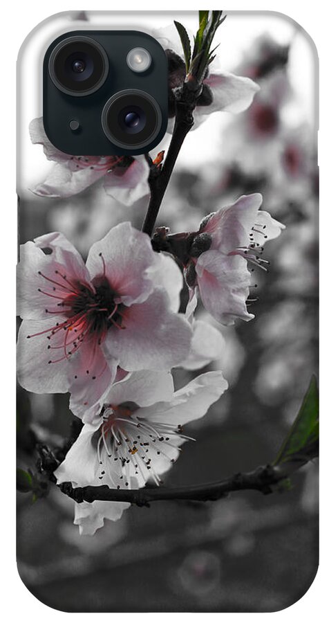Tree iPhone Case featuring the photograph Peaches in Bloom by Jeannie Owens