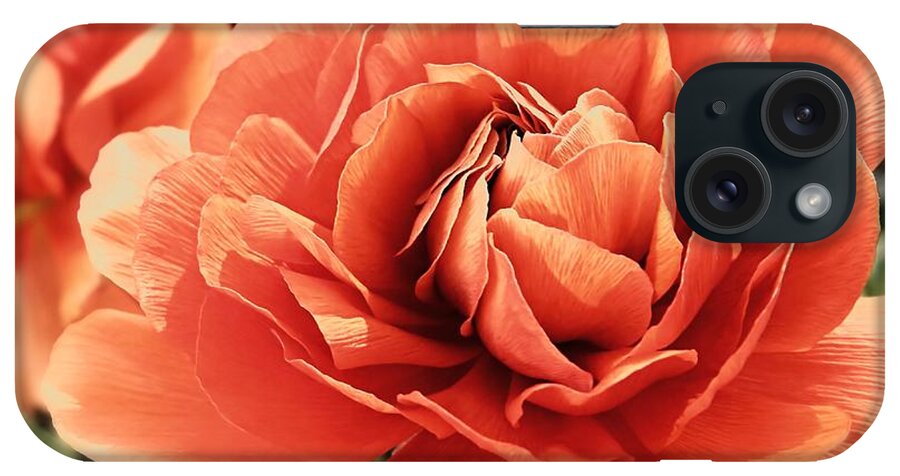 Peachy iPhone Case featuring the photograph Peachy Ranunculus Flower by Sharon Woerner