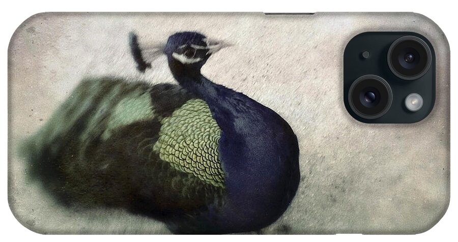 Peacock iPhone Case featuring the photograph Peacock by Bradley R Youngberg