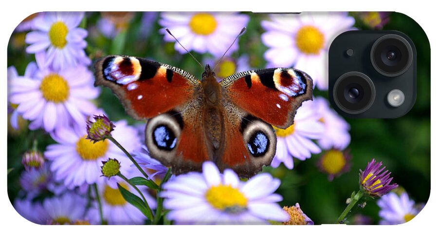 Peacock Butterfly iPhone Case featuring the photograph Peacock Butterfly Perched On The Daisies by Scott Lyons