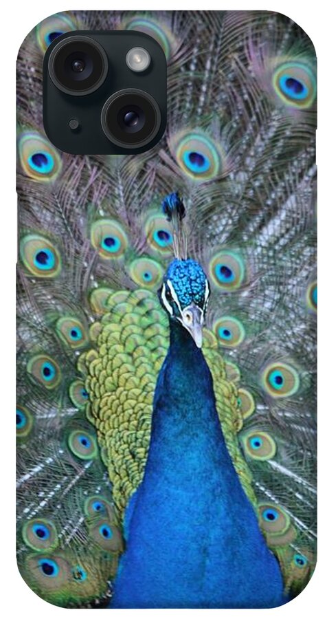 Peacock iPhone Case featuring the photograph Peacock by Elizabeth Budd