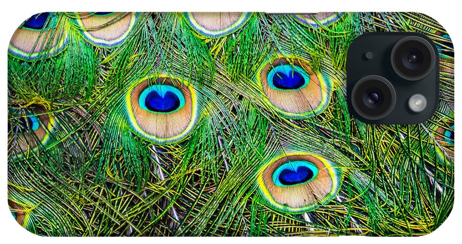 Peacock iPhone Case featuring the photograph Peacock Feathers by Jim DeLillo