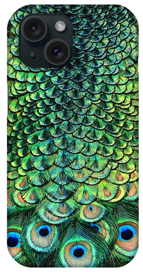 Peacock iPhone Case featuring the photograph Peacock Pano by Clare VanderVeen