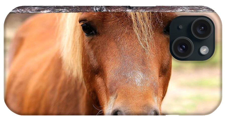 Pony iPhone Case featuring the photograph Peaking Pony by Janice Byer