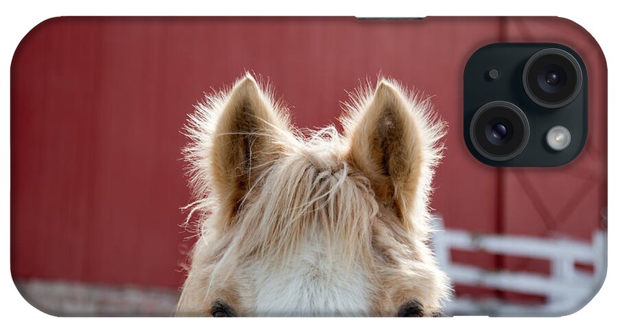 Horse Ears iPhone Case featuring the photograph Peek A Boo by Courtney Webster