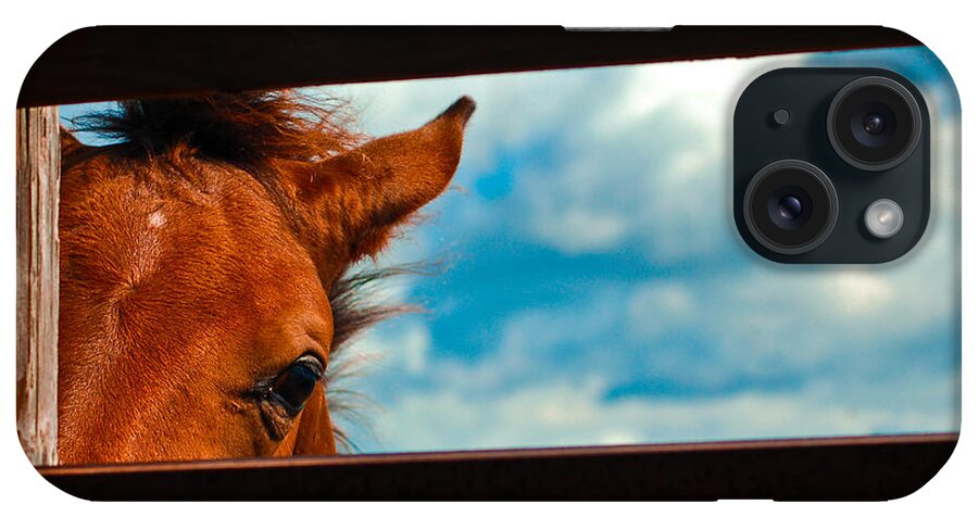 Horse iPhone Case featuring the photograph Peek a Boo by John McGraw
