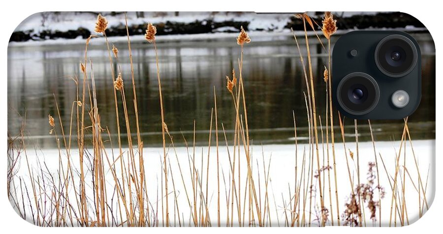Reeds iPhone Case featuring the photograph Peeking Through The Reeds by Judy Palkimas