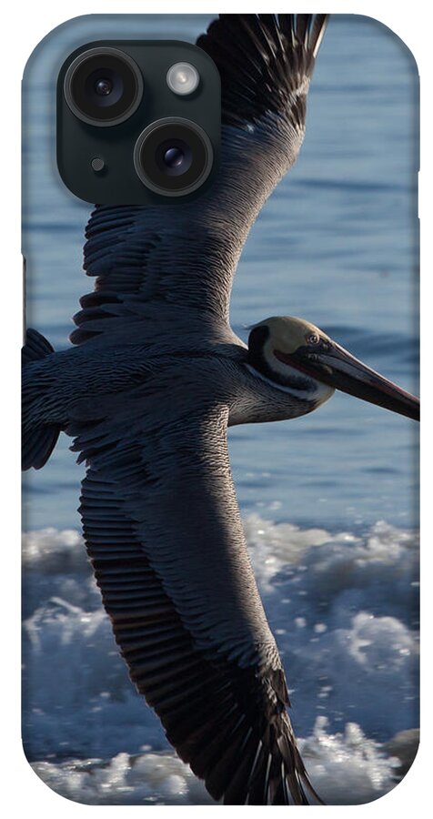 Pelican iPhone Case featuring the photograph Pelican Flight by John Daly