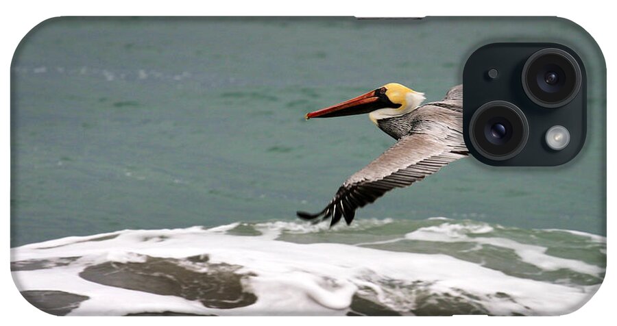 Pelican iPhone Case featuring the photograph Pelican Flying by Anthony Jones