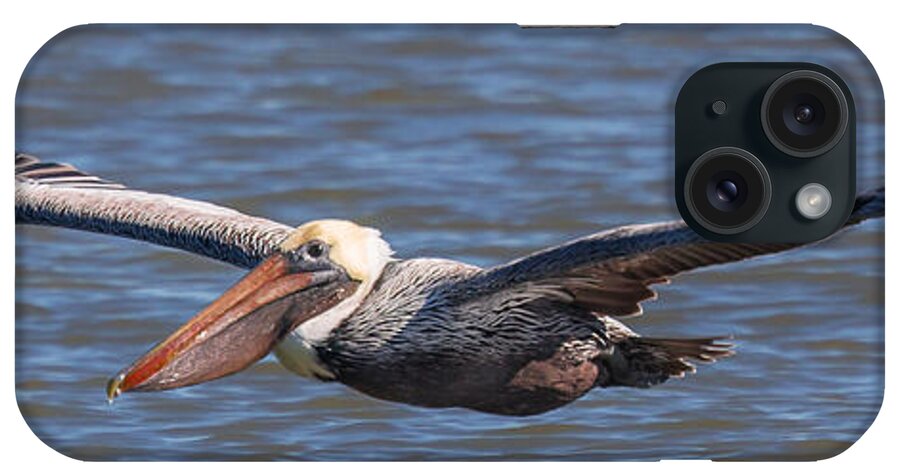 Pelican iPhone Case featuring the photograph Pelican in Flight by Patricia Schaefer