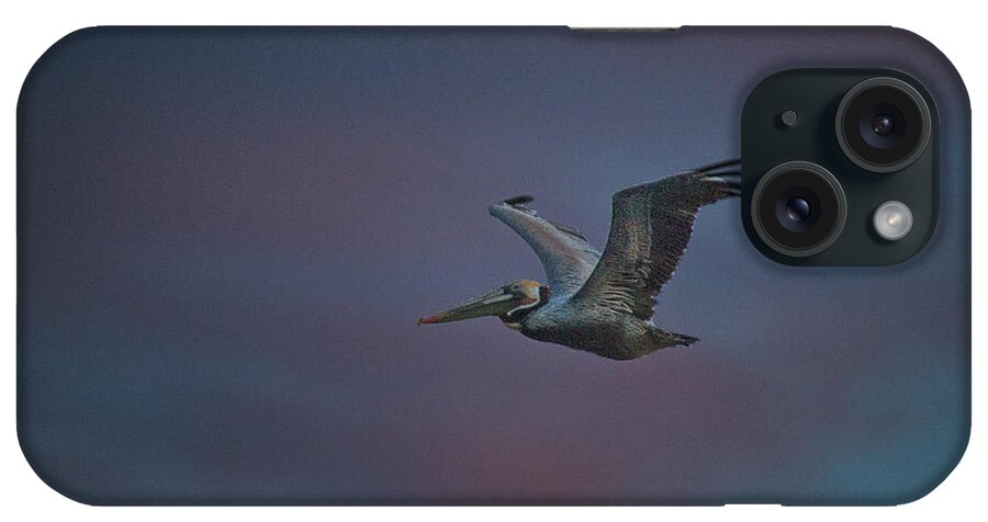 Pelican iPhone Case featuring the photograph Pelican On the Wing by Bill Roberts