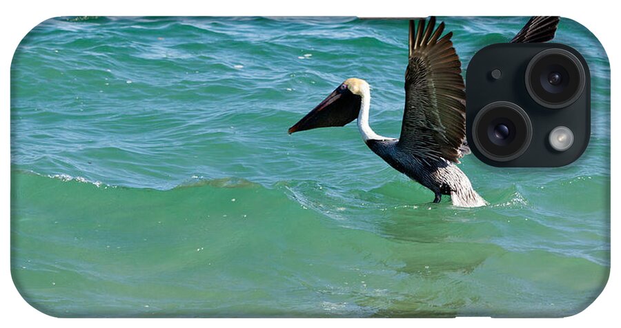 Pelican Preparing For Takeoff iPhone Case featuring the photograph Pelican Preparing for Takeoff by Michelle Constantine
