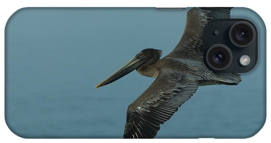 Dusk iPhone Case featuring the photograph Pelican by Sebastian Musial