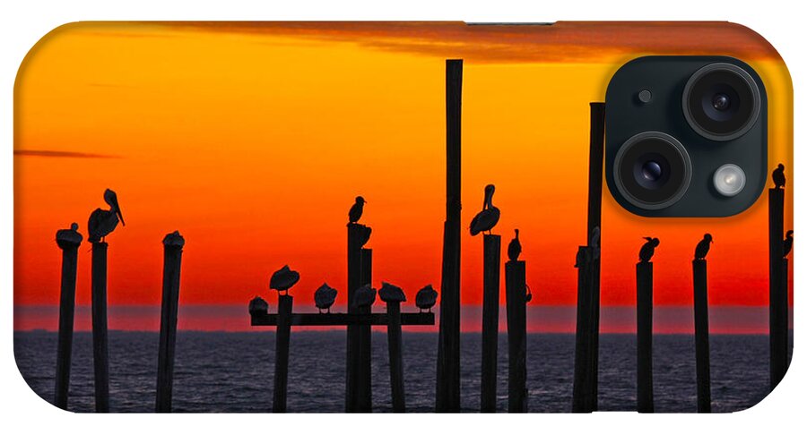 New Orleans Photos iPhone Case featuring the photograph Pelican Sunset in Louisiana by Luana K Perez