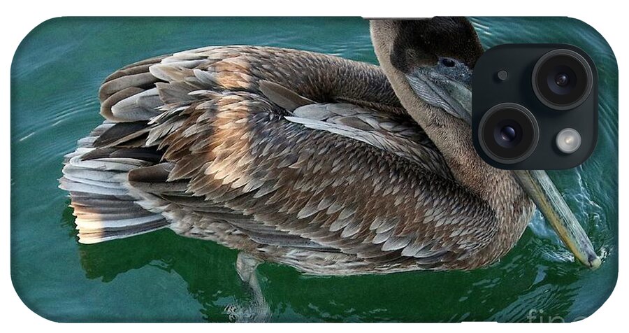 Pelican iPhone Case featuring the photograph Pelican by Veronica Batterson