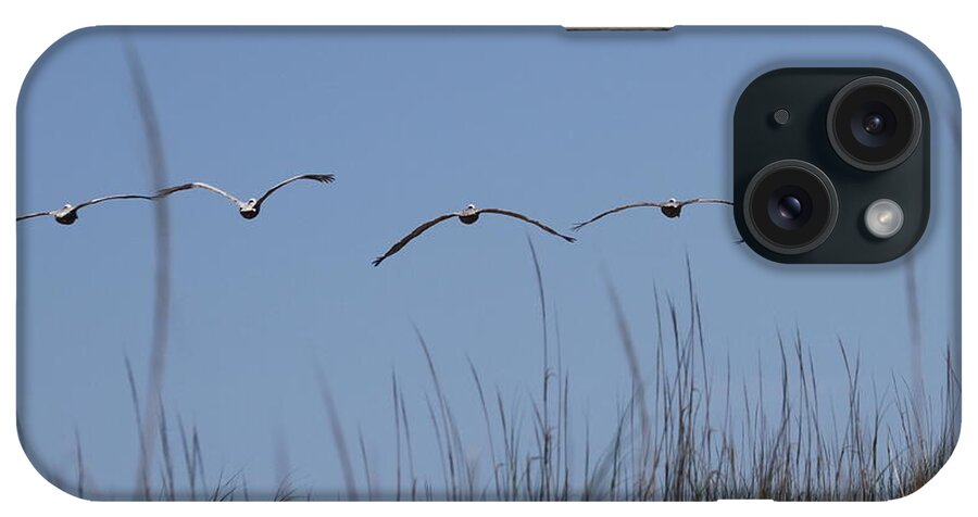 Pelican iPhone Case featuring the photograph Pelicans in Flight 14 by Cathy Lindsey