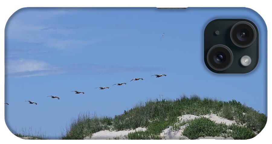 Pelican iPhone Case featuring the photograph Pelicans in a Row 5 by Cathy Lindsey