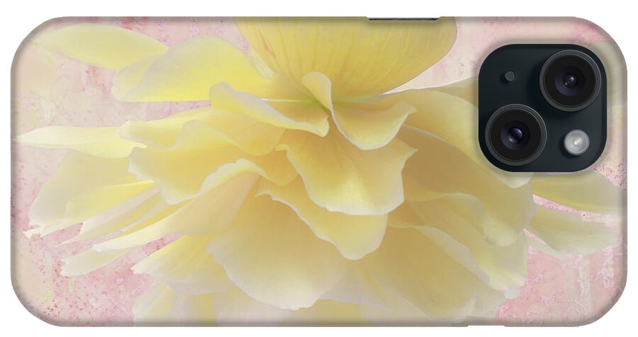 Begonia iPhone Case featuring the photograph Pendula by Sandra Foster
