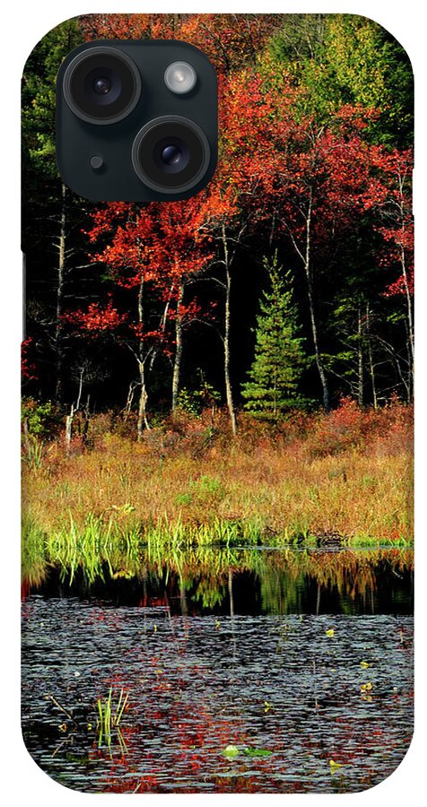 Aquatic iPhone Case featuring the photograph Pennsylvania Fall Colors by Beck Photography