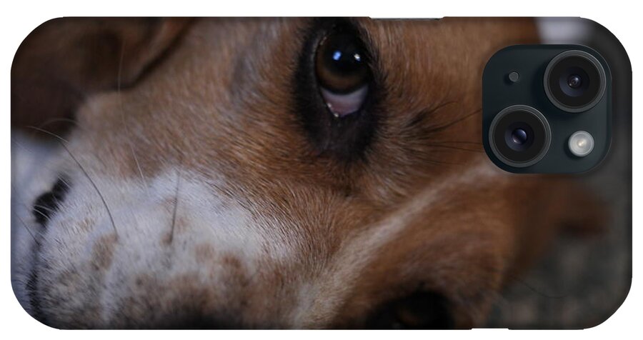 Beagle iPhone Case featuring the photograph Penny the Beagle Dog by Valerie Collins