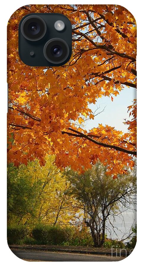 Peoria iPhone Case featuring the photograph Peoria Riverfront Park in Autumn by Veronica Batterson