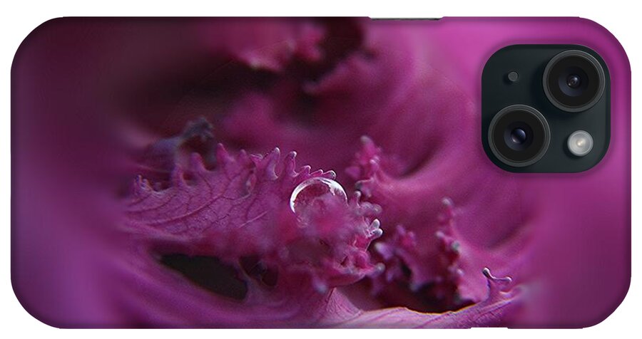 Droplets iPhone Case featuring the photograph Perfect hiding place by Yumi Johnson