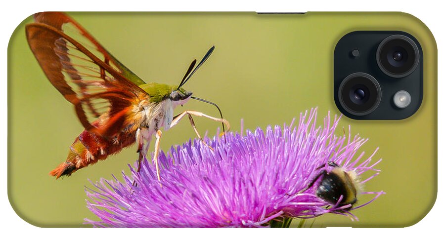 Landscape iPhone Case featuring the photograph Perfect Hummingbird Moth by Cheryl Baxter