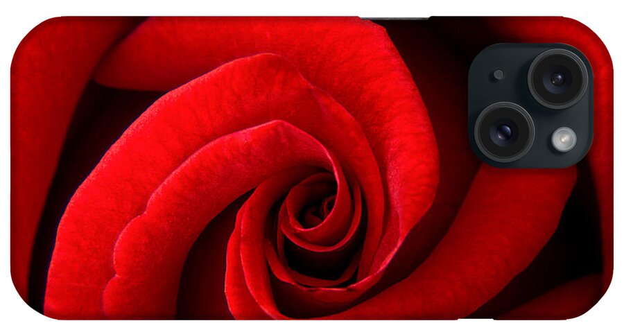 Red iPhone Case featuring the photograph Perfect Red Rose by Lisa Chorny