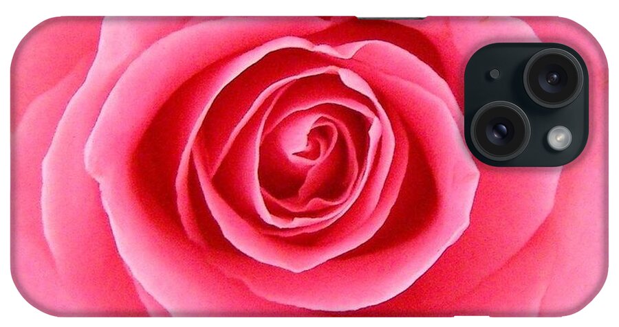 Perfect Rose iPhone Case featuring the photograph Perfect Rose by Bev Conover