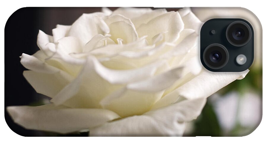 Roses iPhone Case featuring the photograph Perfect White Rose by Connie Fox