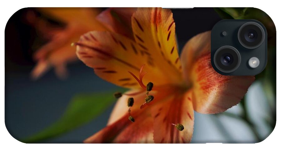 Matt Matekovic iPhone Case featuring the photograph Peruvian Lily by Photographic Arts And Design Studio