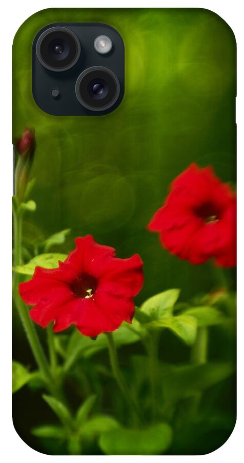 Flowers iPhone Case featuring the photograph Petunia Dreams In The Woods by Dorothy Lee