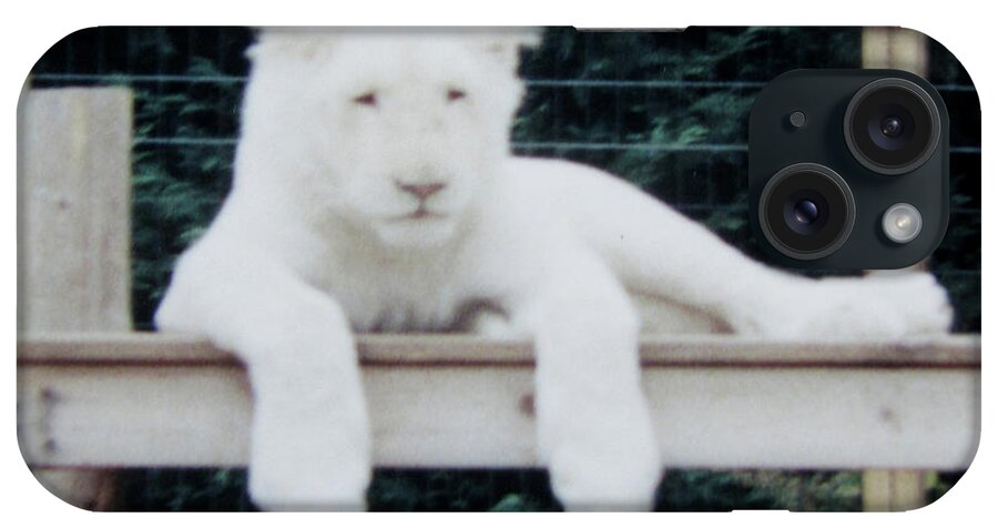 Animal iPhone Case featuring the photograph Philadelphia Zoo White Lion by Donna Brown