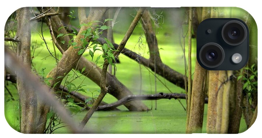 Wildlife iPhone Case featuring the photograph Green Water at Brazos Bend State Park in Texas by Alex King
