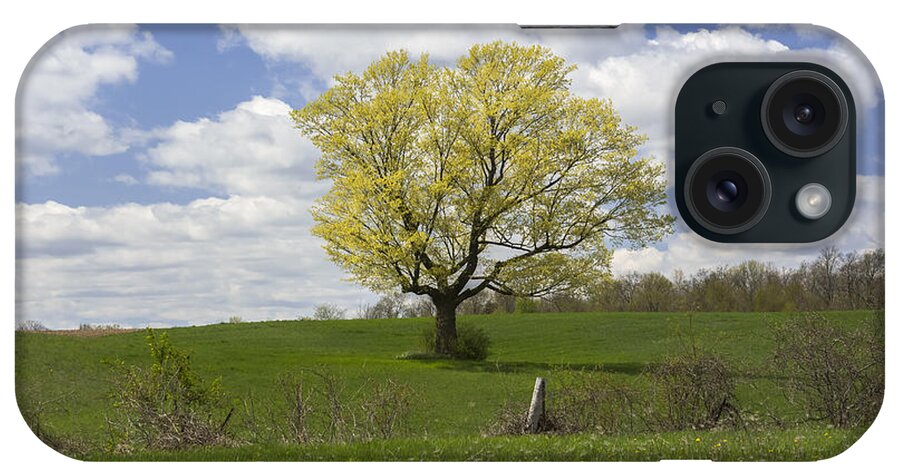 Spring Landscape iPhone Case featuring the photograph Picnic Spot by Dan Hefle