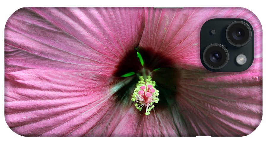 Floral iPhone Case featuring the photograph Pie Plate Hibiscus by Nina Silver