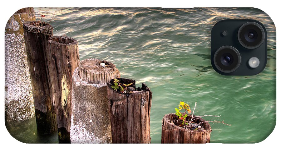 Pilings iPhone Case featuring the photograph Pilings in Commencement Bay Tacoma WA by Rob Green