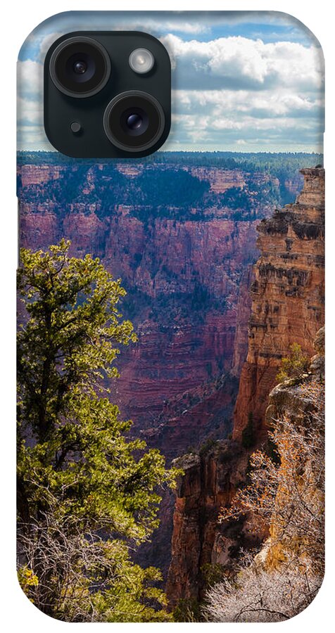 Arizona iPhone Case featuring the photograph Pines and Cliffs at the Grand Canyon by Ed Gleichman