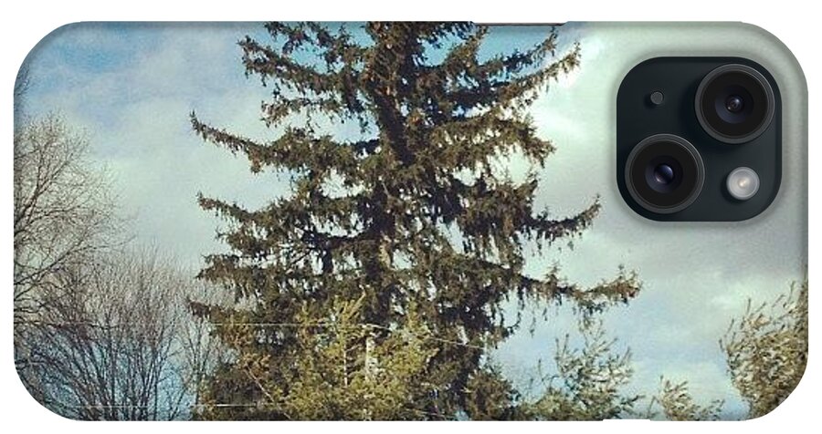 Evergreen iPhone Case featuring the photograph #pinetree #bluesky #green #evergreen by Amber Campanaro