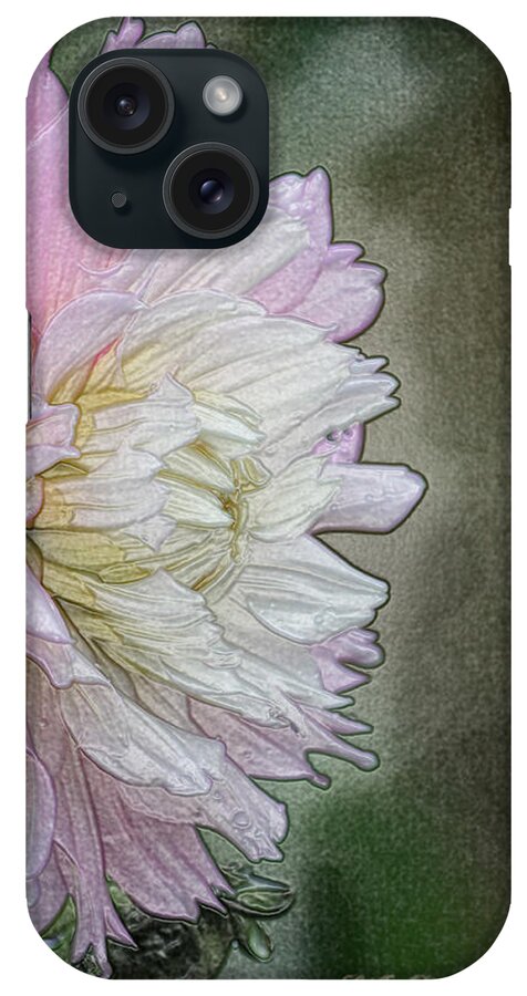 Dahlia iPhone Case featuring the photograph Pink and White Dahlia Profile by Jeanette C Landstrom